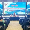 Binh Dinh organises various tourism events in 2023