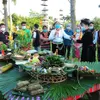 Programme honours colours of Vietnamese ethnic groups