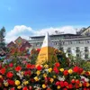 Sapa opens biggest rose festival in Northwest region