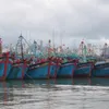 Vietnam Fisheries Trade Union raises fishermen's awarness on combatting IUU fishing