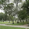 HCM City plans to have more urban green space