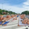 Street to display Vinh Long red ceramic products