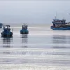 Tien Giang's fishing vessels strictly follow regulations, curbing IUU fishing