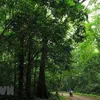 Forest eco-tourism should be expanded: experts