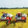 Price of Vietnam’s exported rice maintains uptrend