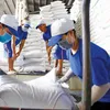 Vietnam sets new record in rice exports