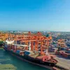 Vietnam looks to develop, maximise modern seaports