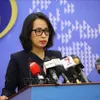 Vietnam determined to strictly punish drug traffickers: Spokeswoman