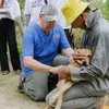 Boehringer Ingelheim's animal health marks 15 years of success in Vietnam