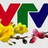 New Year 2024 special programs on VTV8