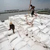 Vietnam's rice export prices reach 15-year high