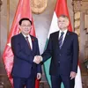 Hungary - Vietnam relations will increasingly develop: Hungarian NA official