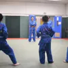 Young female Overseas Vietnamese martial artist promotes practice of Vovinam in France