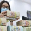 Reference exchange rate up 14 VND at week’s beginning