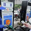 Petrol prices forecast to experience slight fluctuations in next adjustment: VPI