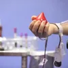 World Blood Donor Day: Sharing love, giving life