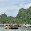 Ha Long authorities re-arrange docking areas for water vehicles