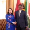 Vice President holds talks with South African counterpart