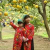 Dien pomelo – a citrus offering for Lunar New Year