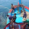 Deputy PM orders greater efforts in IUU fishing fight