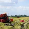 Kien Giang province to expand organic rice cultivation