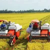 Export results in 2023 provide stepping stone for rice sector next year