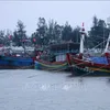 MARD urges examination of fishing vessels without tracking