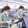 Vietnam buckles down on quality FDI as global capital turns selective