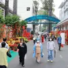 Flower streets bring spring to patients in HCM City