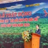 State President launches New Year tree planting festival in Tuyen Quang