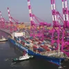 Weekly container service connects RoK port with Vietnam