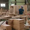 US extends investigations into wooden cabinets from Vietnam