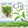 Postage stamp collection spotlights Vietnamese tea plant, culture