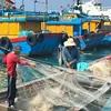 Binh Thuan works hard on combating IUU fishing