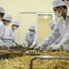 PM orders review of regulations hampering medicinal herb exports