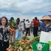 Hai Duong promotes consumption of Thanh Ha lychee associated with tours