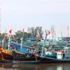 Binh Thuan ramps up efforts to combat IUU fishing