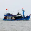 Ninh Binh eliminates all 'three-no' fishing vessels