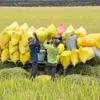 Plan issued to develop agricultural logistics system