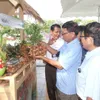 Conference promotes consumption of Thanh Ha lychees and key agricultural products of Hai Duong Province