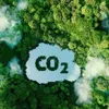 Ministry establishes monitoring framework for carbon market