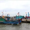 Quang Tri focuses on monitoring origin of fishing products at ports