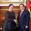 Vietnam, New Zealand share intensive, extensive relations: ambassador