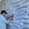 Over 1,800 tonnes of rice allocated for three provinces during lean season