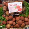 Vietnamese lychees become familiar to Thai consumers