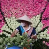 Hanoi aims to promote lotus tourism
