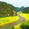 Ninh Binh builds lasting visitor appeal