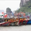 Quang Ninh requests registration of nearly 1,500 fishing vessels