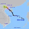 Storm No.2 at shock level 11 in Quang Ninh-Hai Phong coastal area