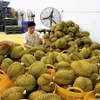 Door wide open for export of Vietnamese agricultural products to China